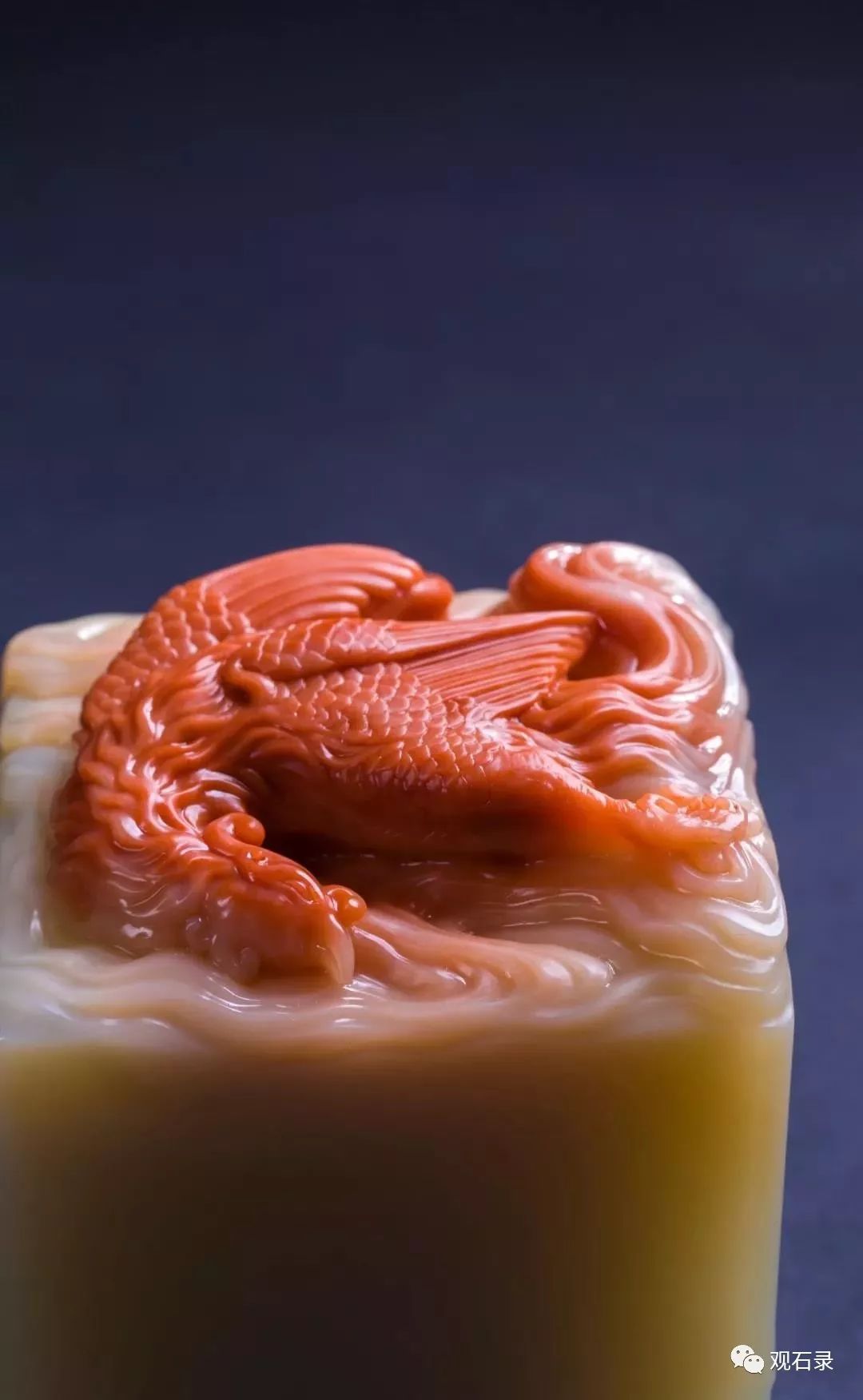 印纽之美古兽纽