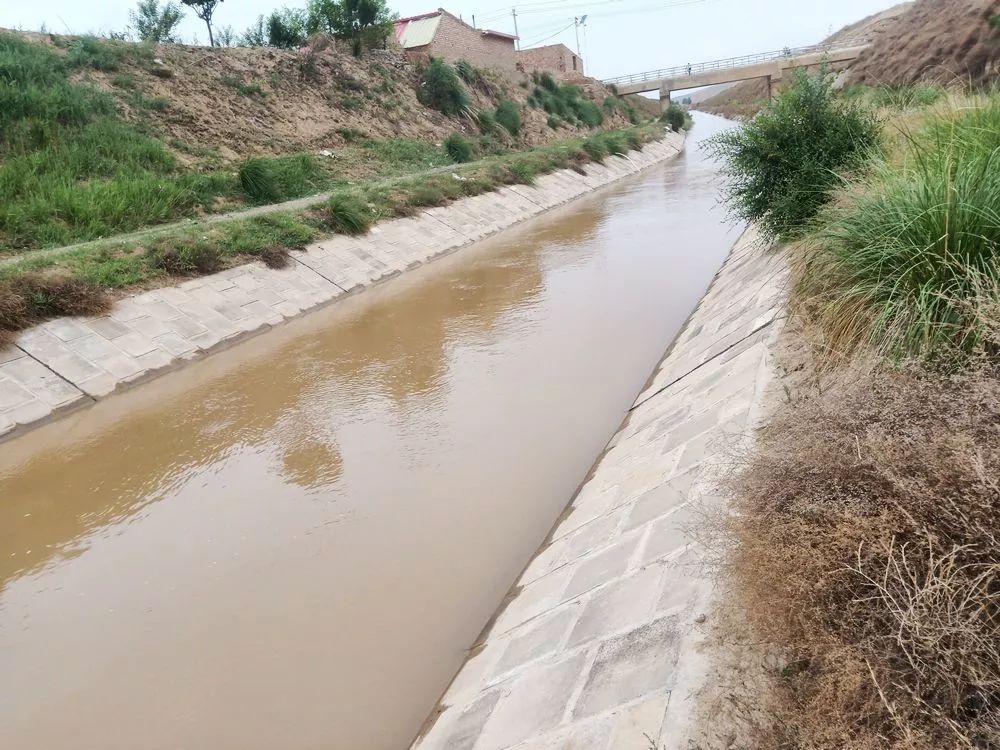 【关注】同心女子掉入大渠瞬间不见身影,新堡汉子纵身跳入水中