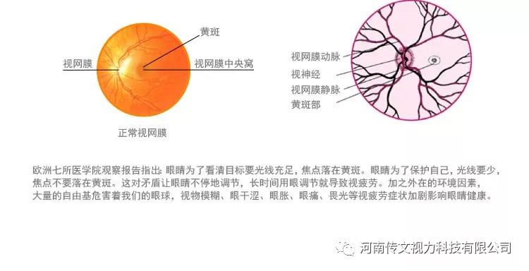 为什么视力不好的人群要经常补充叶黄素?