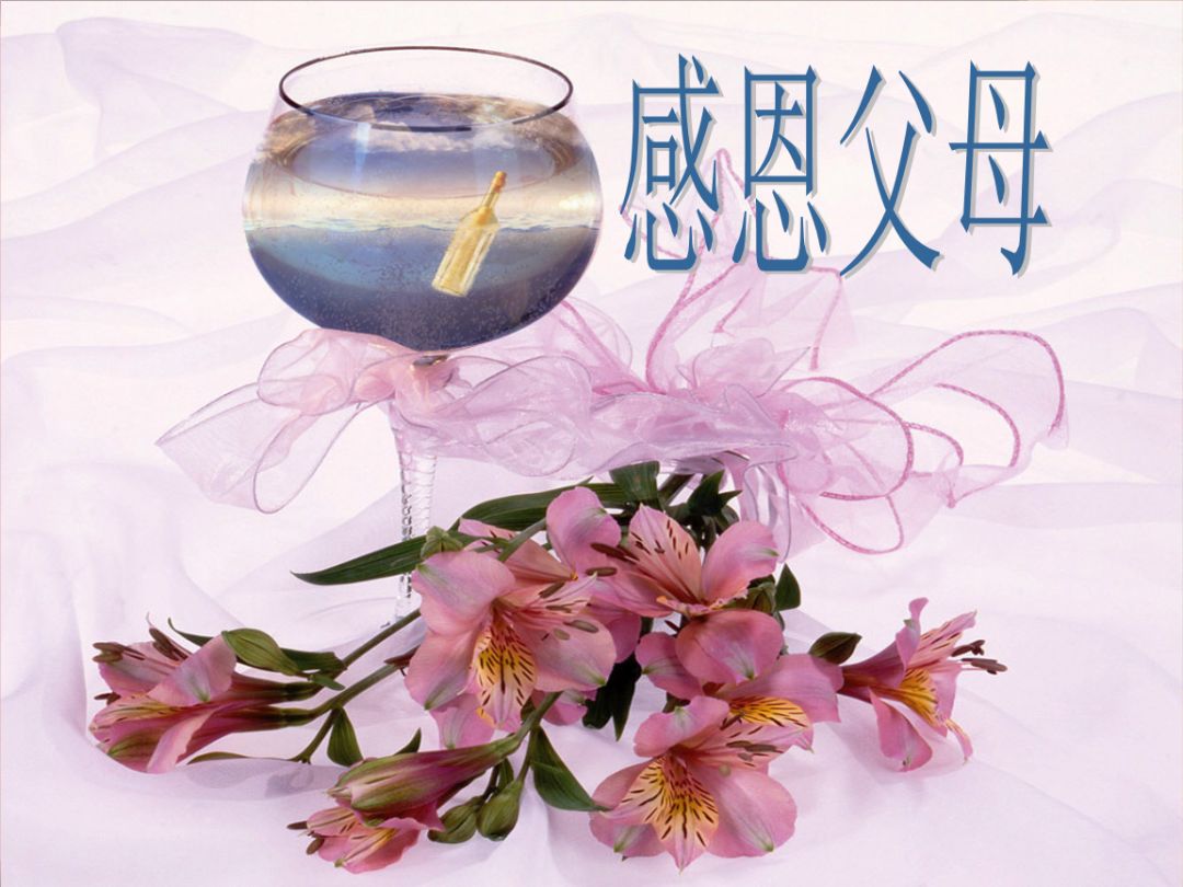 太白山 :感恩所有人