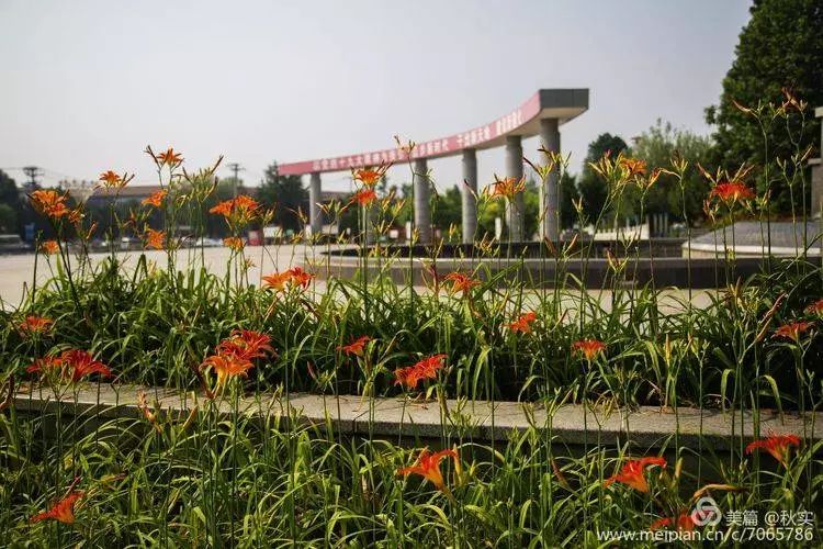 遵化城區有個避暑勝地!簡直是花的海洋!_人民公園