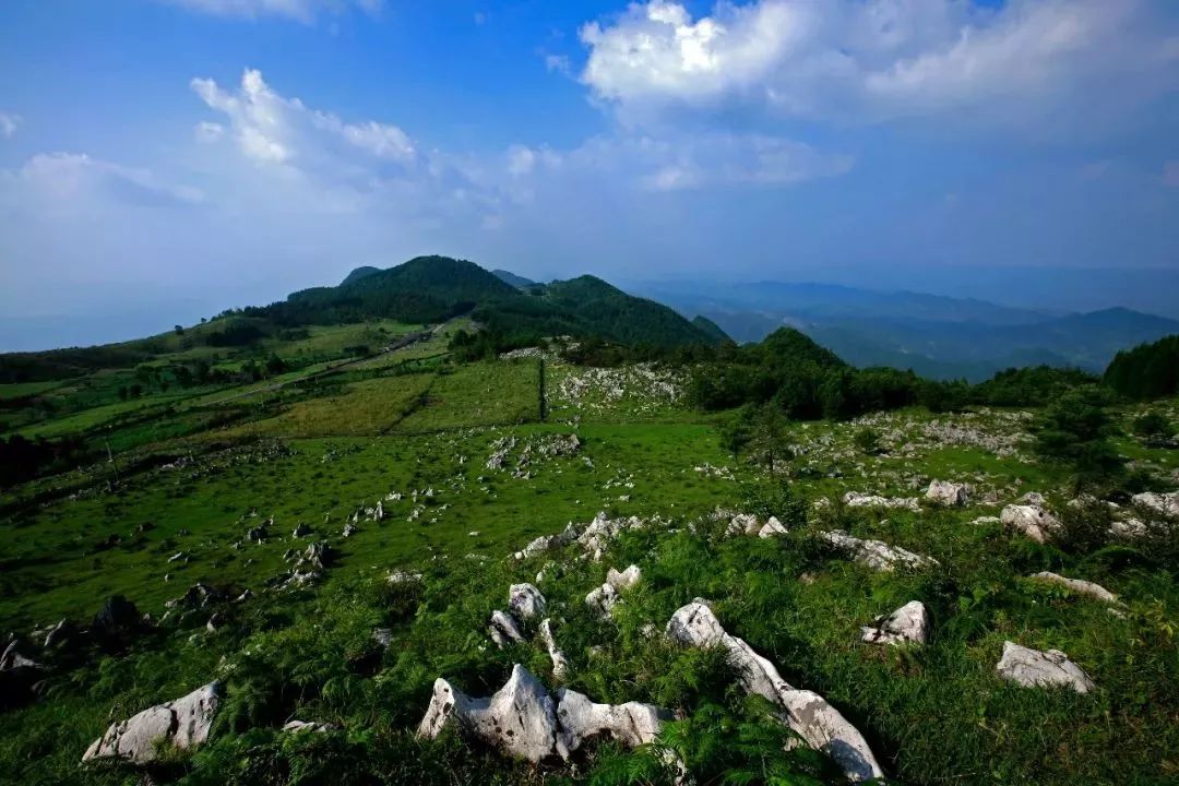 千野草场邂逅21的清凉