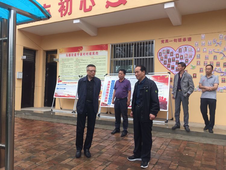临潼区民政局到马额街办宁家村检查指导软弱涣散党组织整顿工作