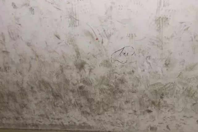 此时无需惊慌,这样的污渍很好去除,只需大约 84 种消毒剂即可使用.