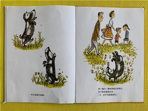 听朝花幼儿园孙河西园小五班许恒佳老师带来的情景故事《好脏的哈利》