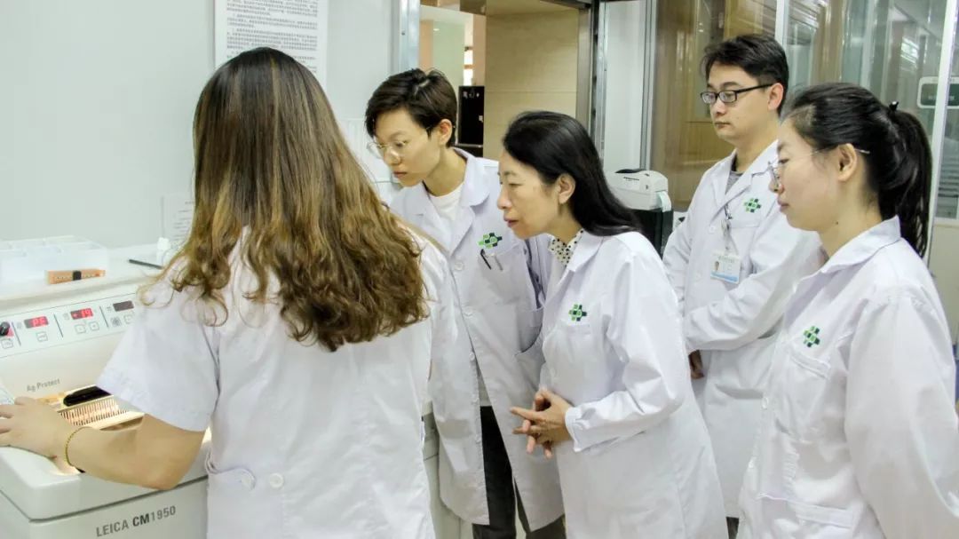 榜样力量平凡的岗位不倒的旗帜记长春肿瘤医院病理科主任杨华