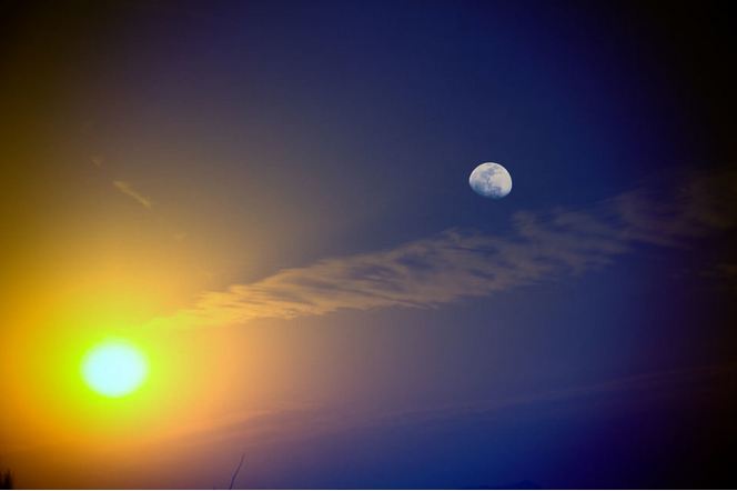 封面 出自《诗经》,《楚辞》里的唯美名字,大家听过哪些?