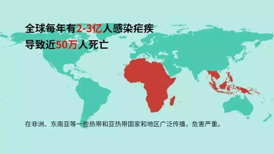 19亿疟疾病例,近80%集中在撒哈拉以南的非洲和印度.