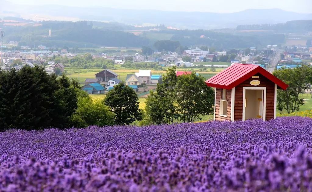 有一种夏天叫北海道