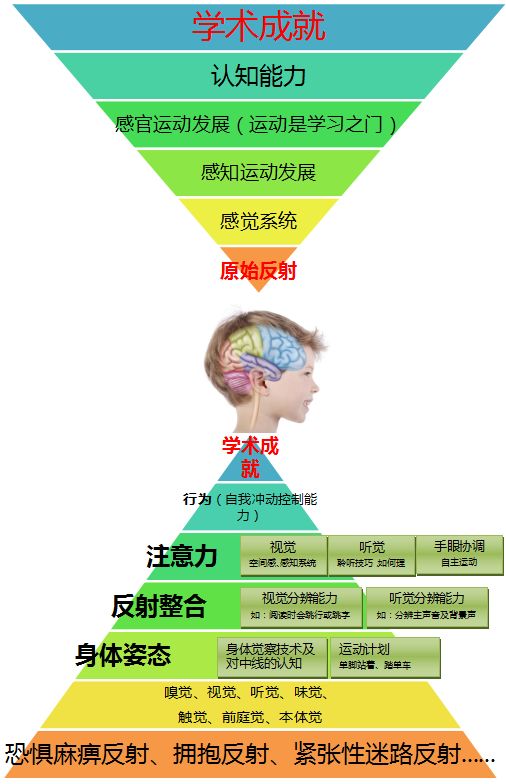 通过身体的智慧运动,韵律运动与游戏,使我们固有的感受和行为模式发生