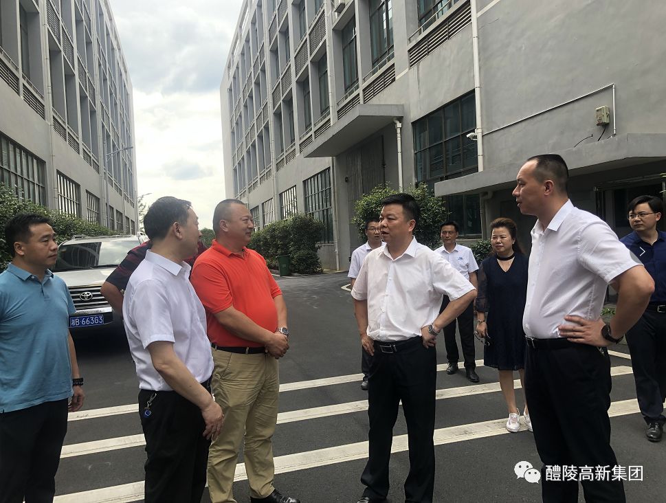 市委书记胡湘之赴横店产业园考察标厂入驻企业