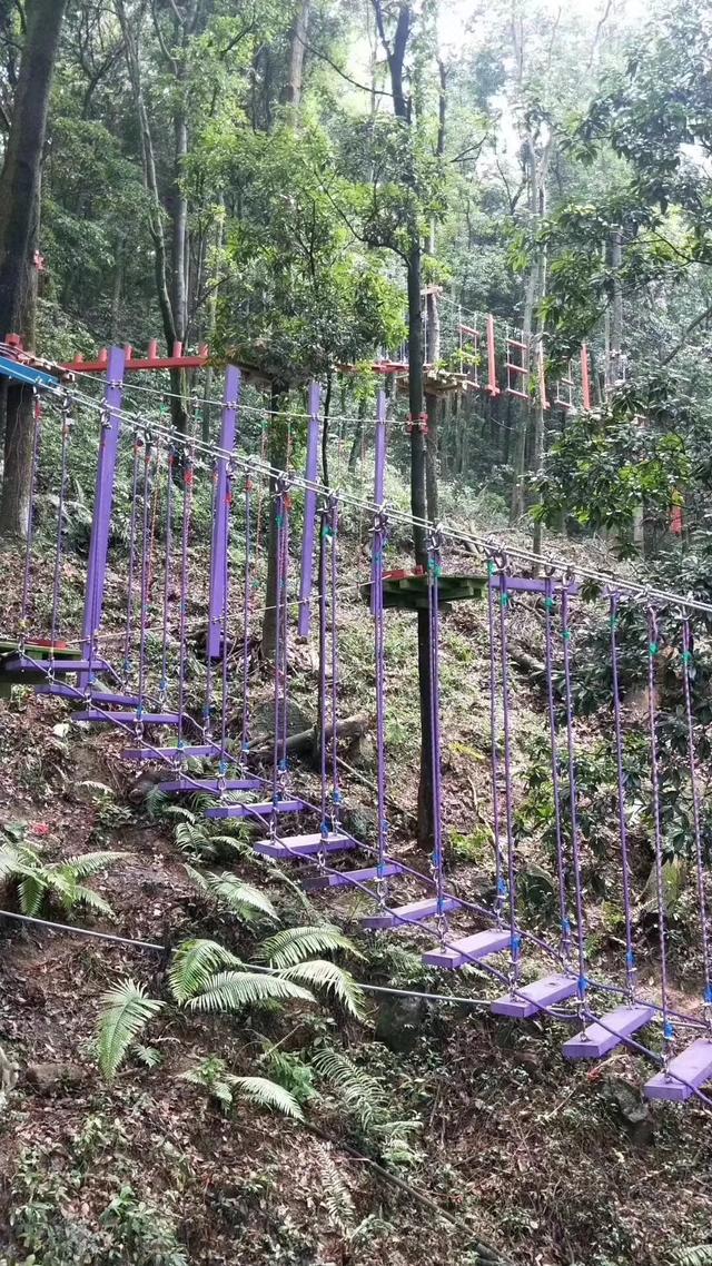 厦门天竺山景区户外探险木结构用水性漆涂刷,游客看了都点赞