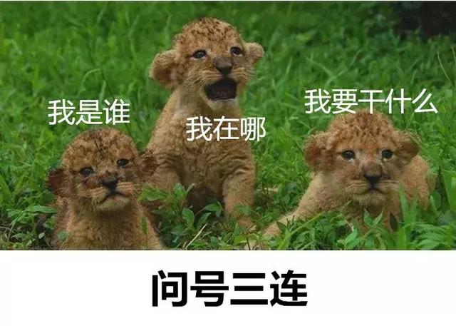 暑期亲子游的4种错误打开方式,你中了吗?