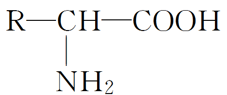 (2)天然氨基酸几乎都是α02氨基酸,其结构简式可以表示为(1)从结构