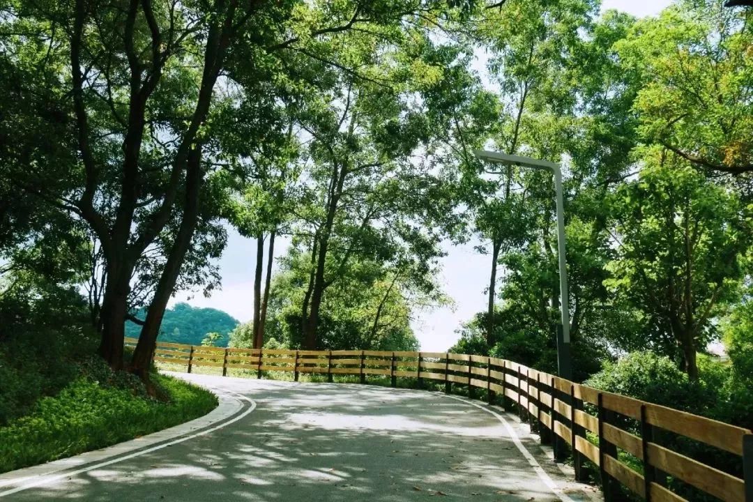 聚焦周末去哪玩光明小镇绿道三桥来啦赶紧报名当体验官吧