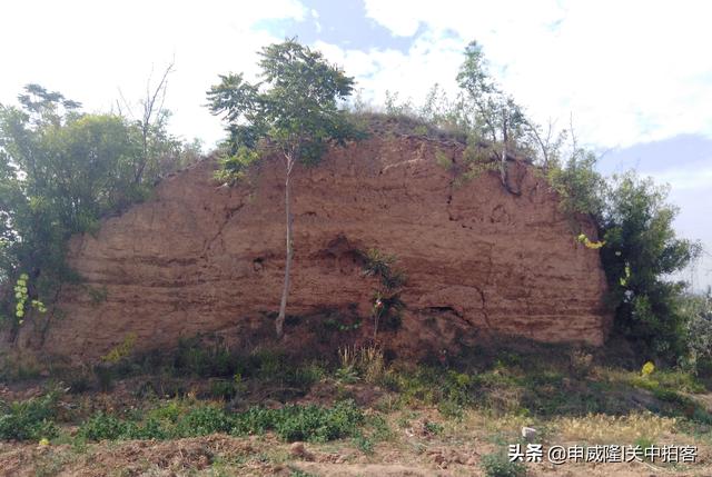原创张士贵墓后人立碑风光重现