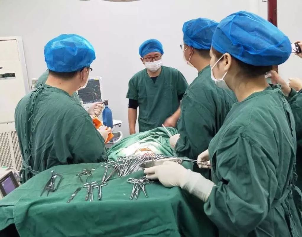 安远一3岁小孩遇车祸心脏破裂幸好