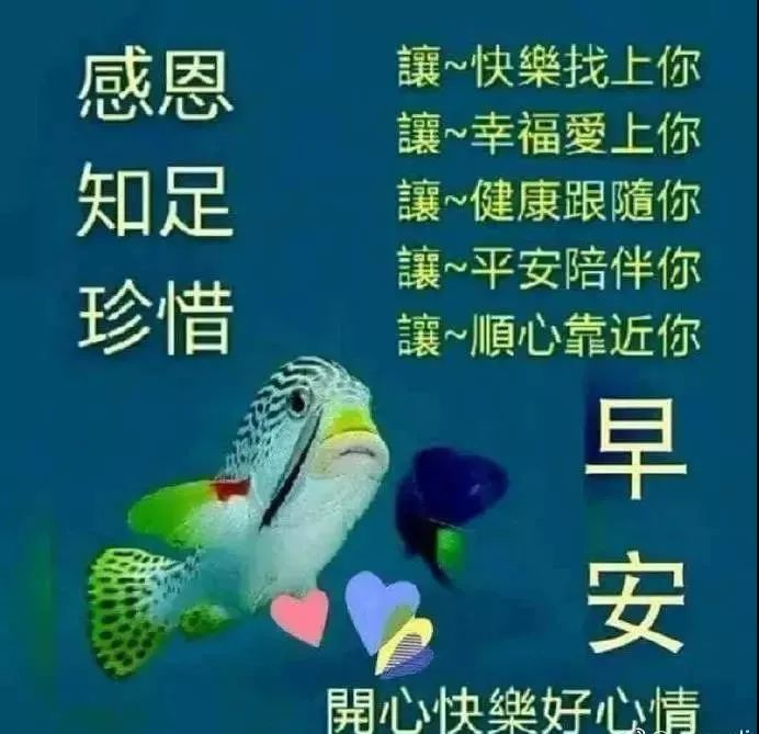 周五早上好的祝福语 周五早晨问候图片大全