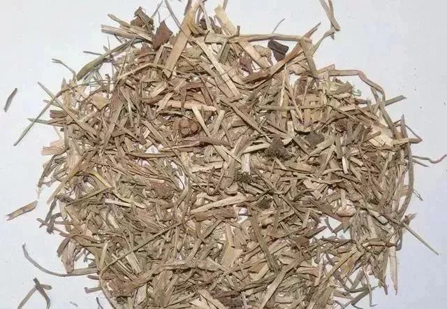 临颍随处可见的垃圾草居然涨到20元斤