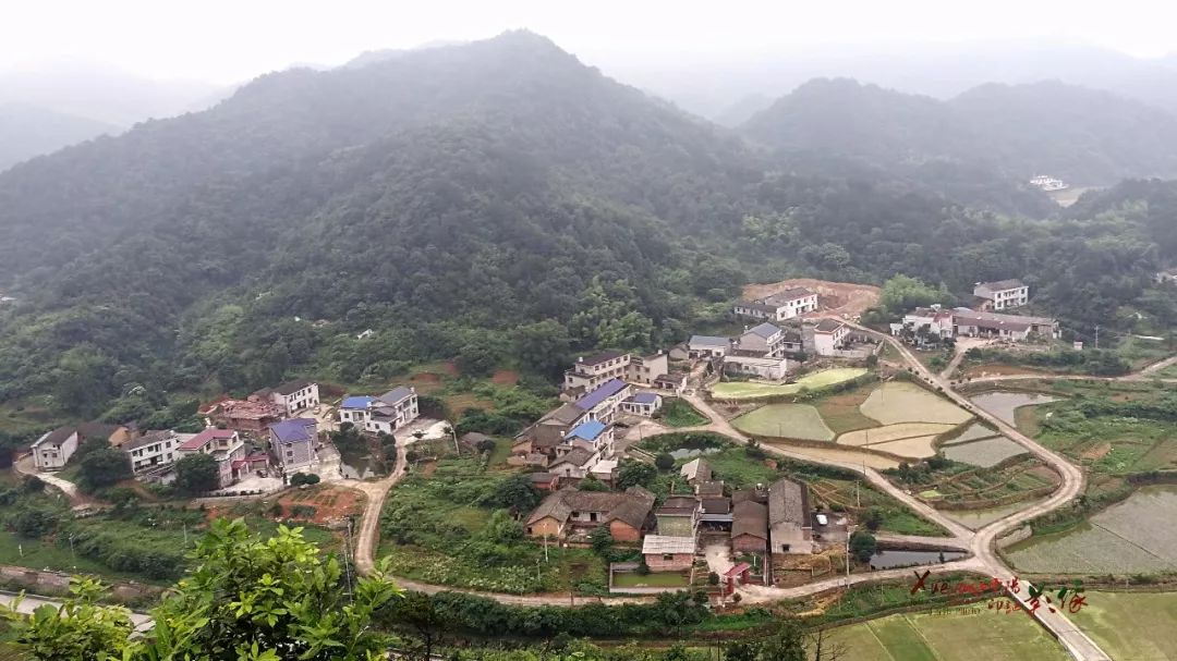 红林花海 韶山图片