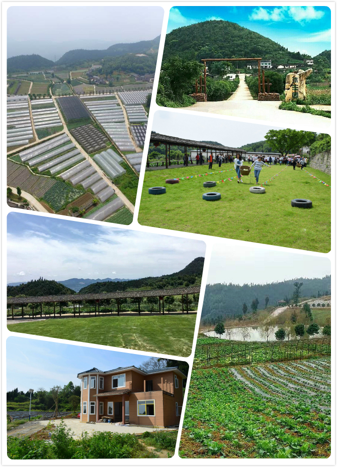 可种植绿色蔬菜瓜果,现诚招种植合伙人,欢迎有农业愿景,对种植绿色