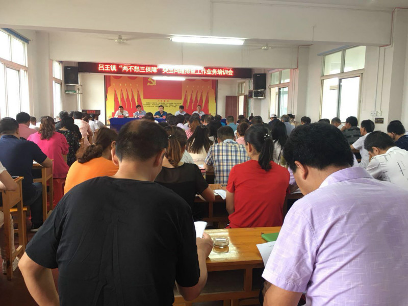 吕王镇召开两不愁三保障突出问题排查工作业务培训会