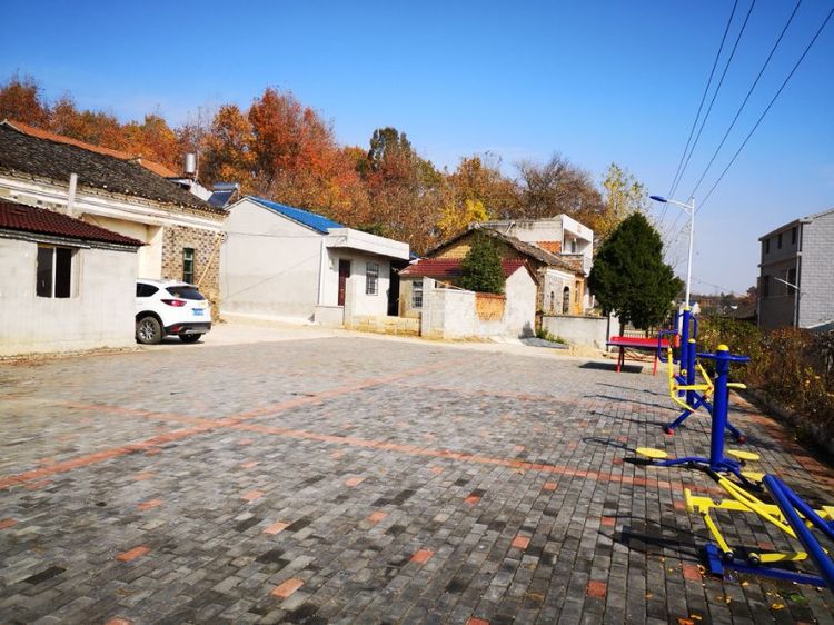 驻村帮扶一枝一叶总关情