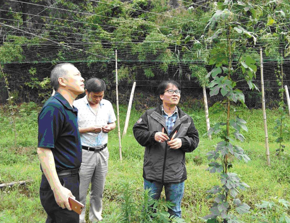2019年6月13日,江山市一吊瓜种植户来电投诉称,从上余村一农资店购买