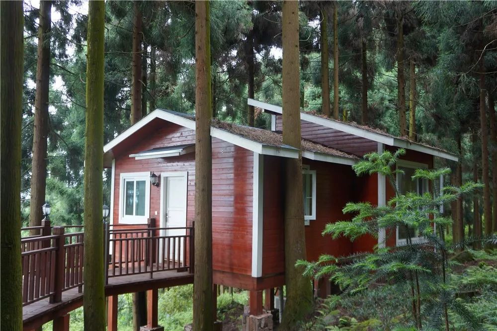 去过农家乐要不要去周公山看看林家乐