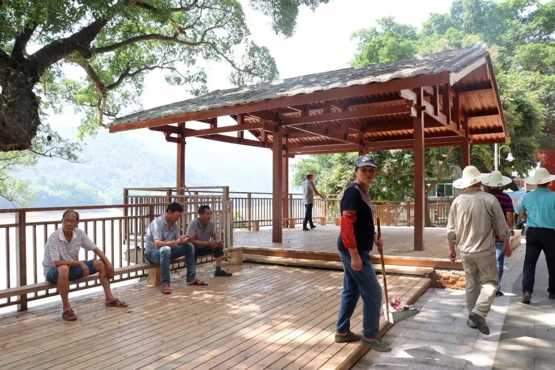 变样了看看南屿镇双龙村美丽乡村建设后的村容街貌