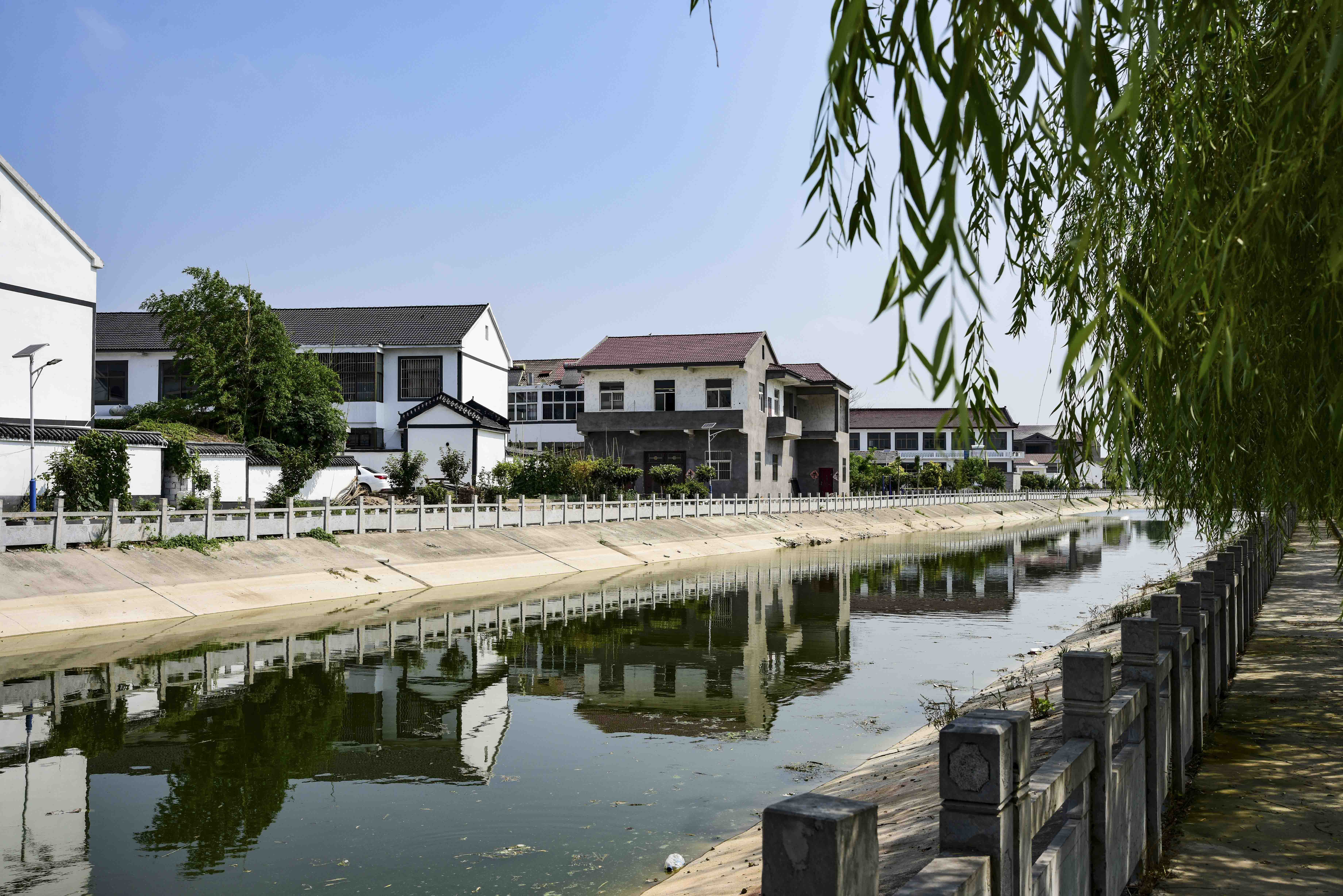行走在徐州京杭大运河边的薛桥村看望百岁老人游览新农村美景