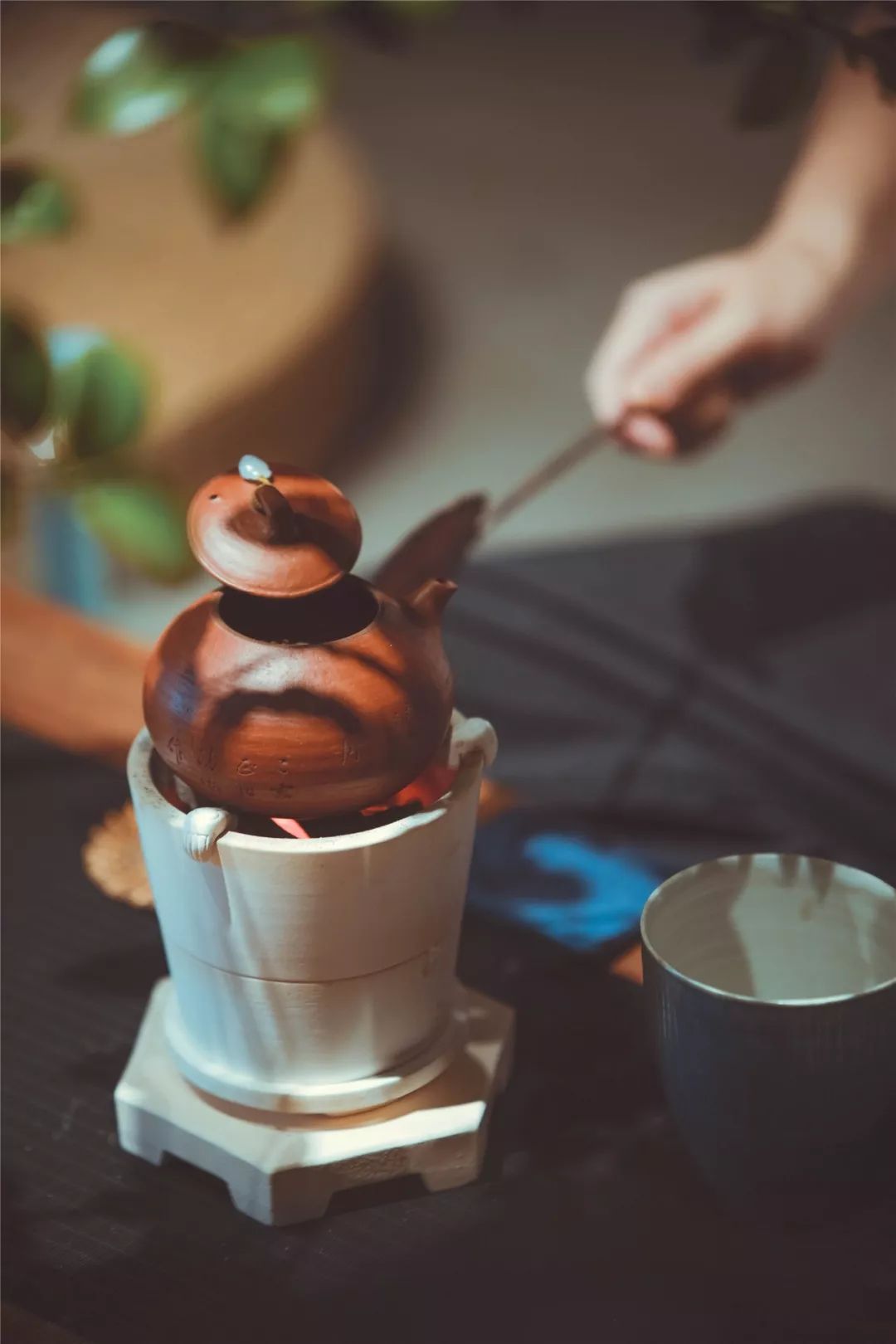 空山新雨后 起炭清海炉 |【烹茶】习茶会及【纳凉茶会】