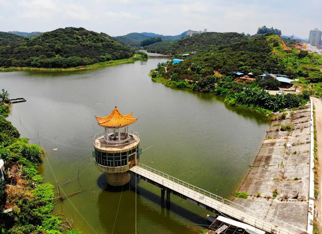 厚街竟是"水上人家!_水库