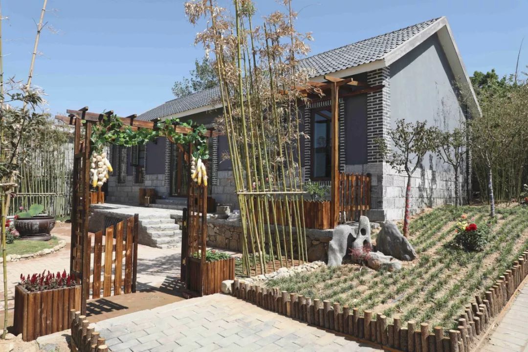 费县微联盟开展"走进英雄薛庄·接受红色洗礼"主题活动