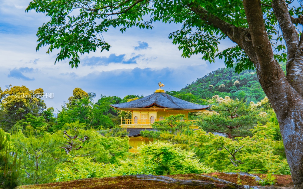 日本最美的世界文化遗产之一：金阁寺，聪明的一休在此擒虎