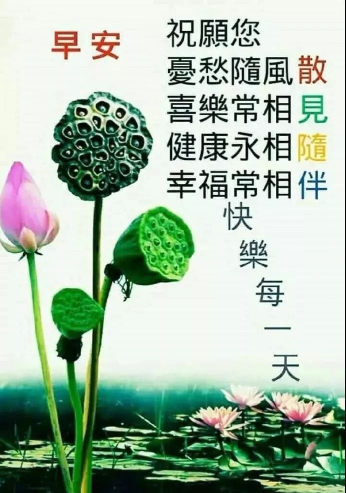 季夏早上好动态图加问候句子早上好问候语图片