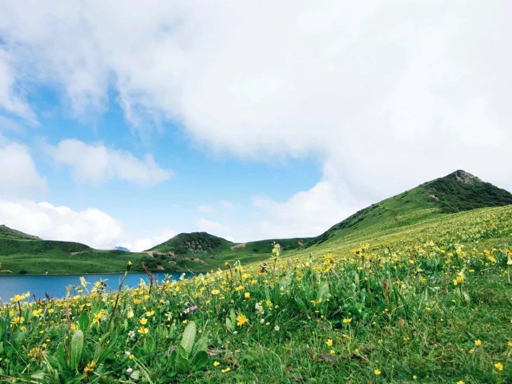 6,7月份的九頂山花海,簡直就是個人間仙境,民間有句話