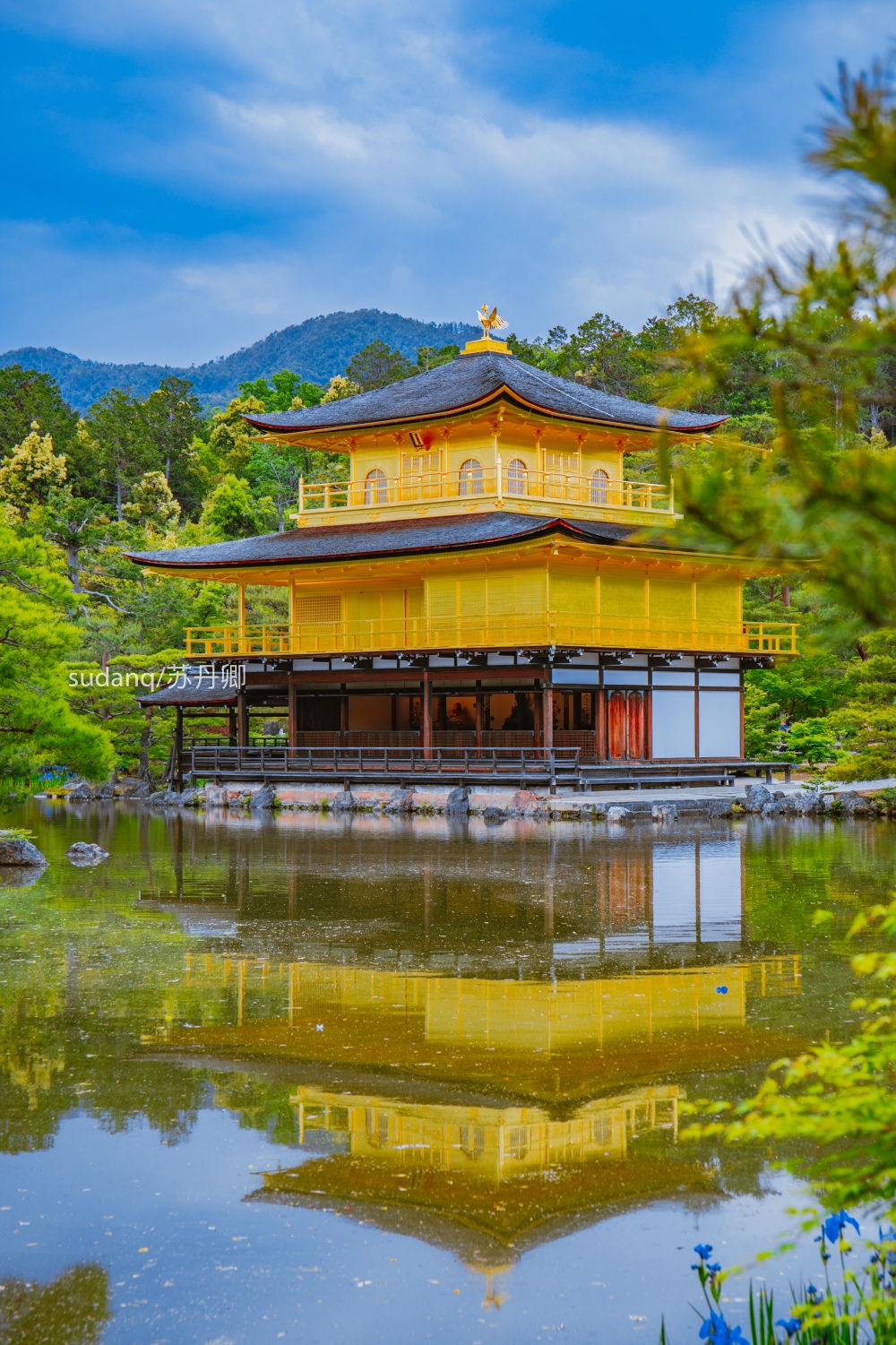 原创日本最美的世界文化遗产之一:金阁寺,聪明的一休在此擒虎