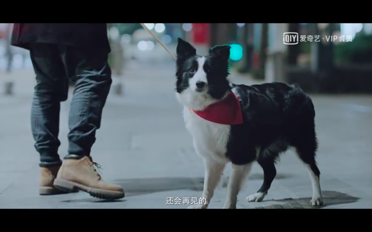 原创动物管理局结局仓促总结隐含深意的细节这些坑还能填上吗