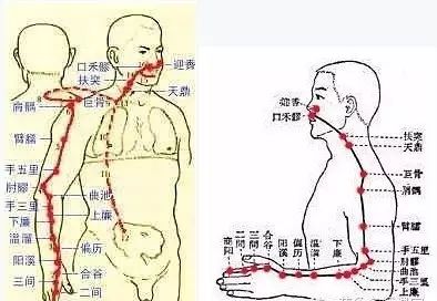 大腸功能失調引起肥胖:敲大腸經