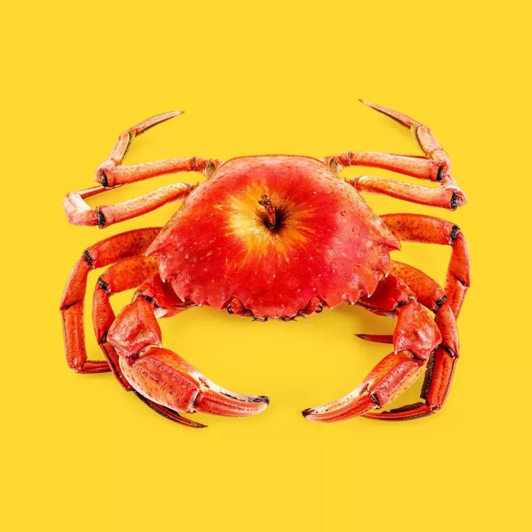 这些创意脑洞设计,有多少让你心动?