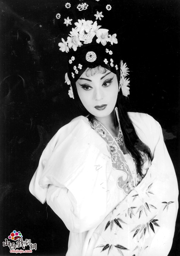 上党翘楚陈素琴