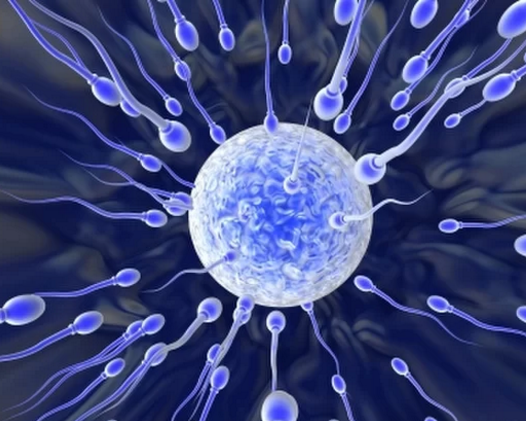 糖尿病年轻化损害男性生育能力!