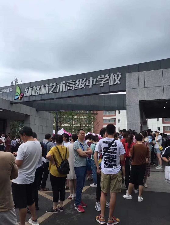 新格林艺术高级中学文化类艺术类补习班招生公告