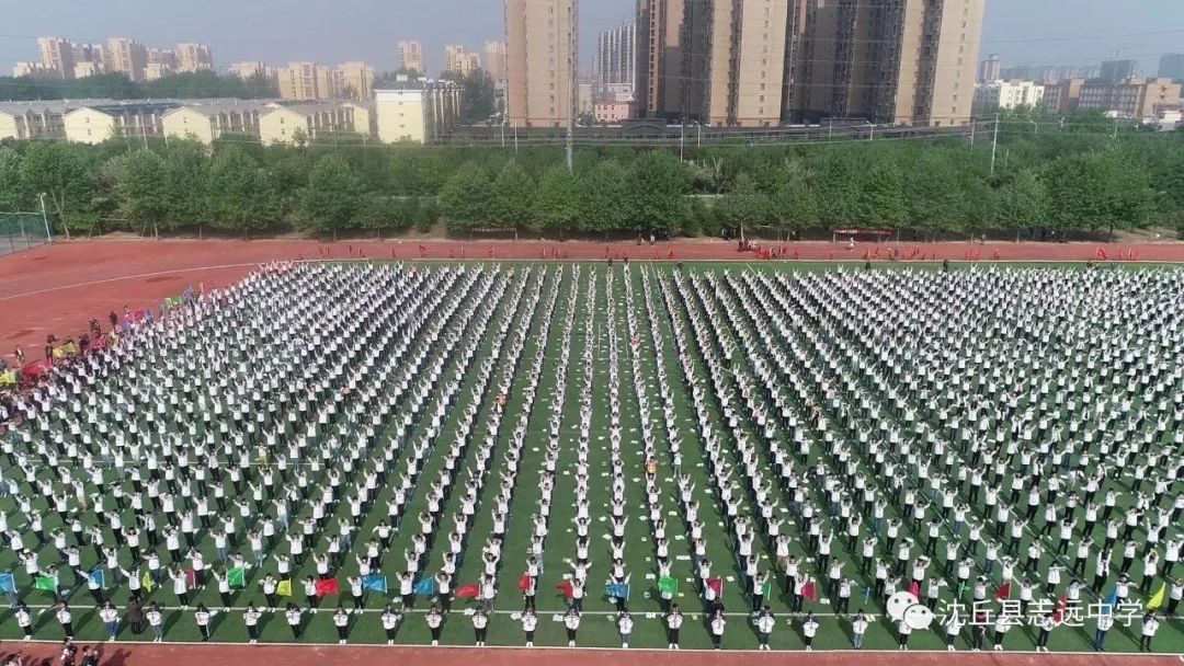 梧桐成排,就等您来——志远中学招聘教师啦_沈丘