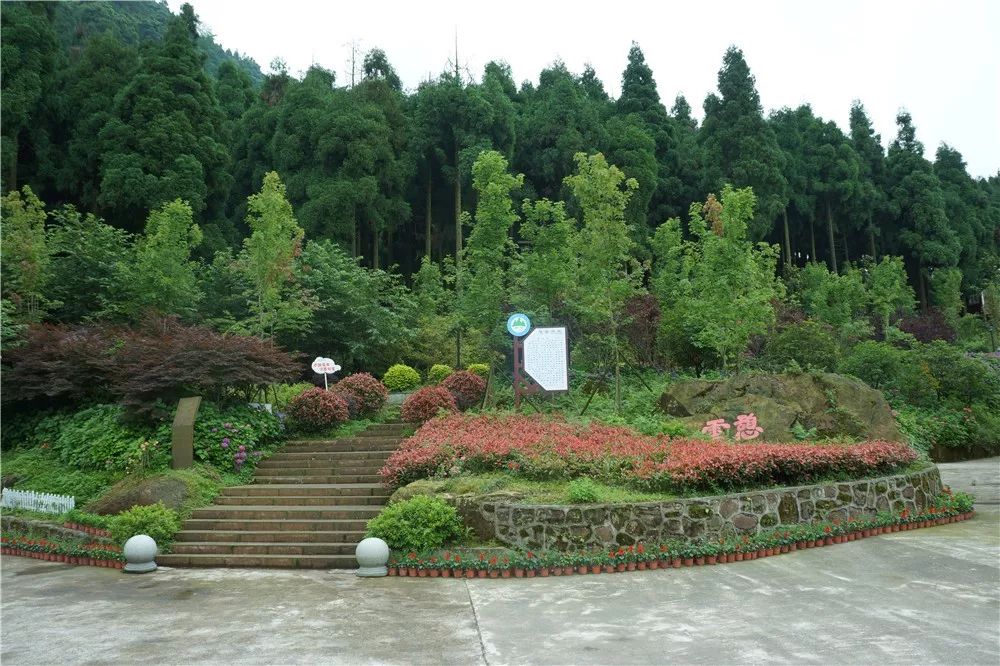 去过农家乐要不要去周公山看看林家乐