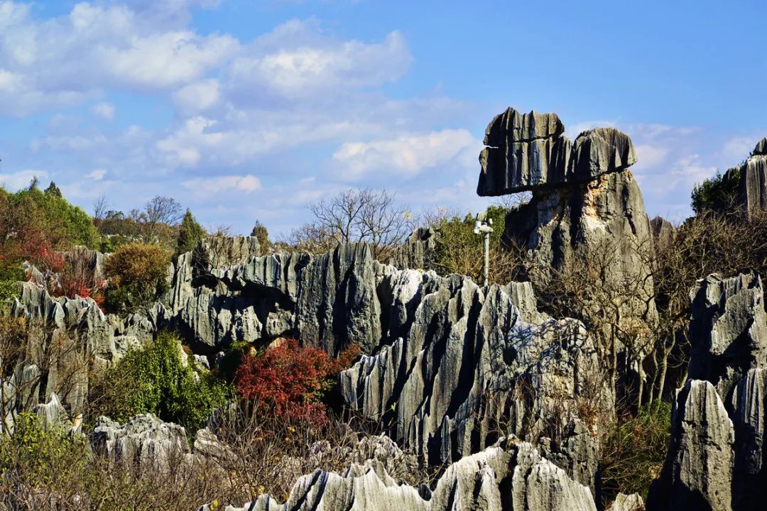 白云洞,古战场等组成由东区,西区,白云湖,乃古石林景区面积约10平方