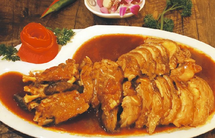 太仓郑和路附近竟然有活鳄鱼这个真的有点不一样