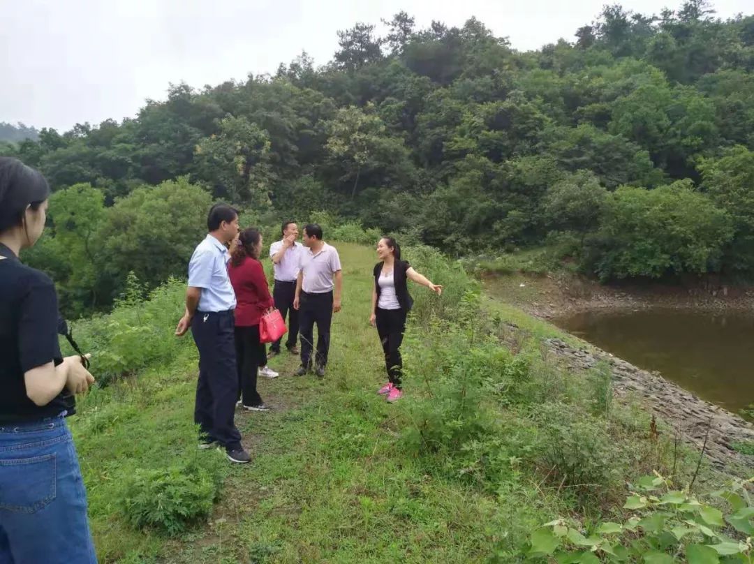 6月21日,副县长,县级浪河河长陈巧带领残联,医保,水利等部门负责人