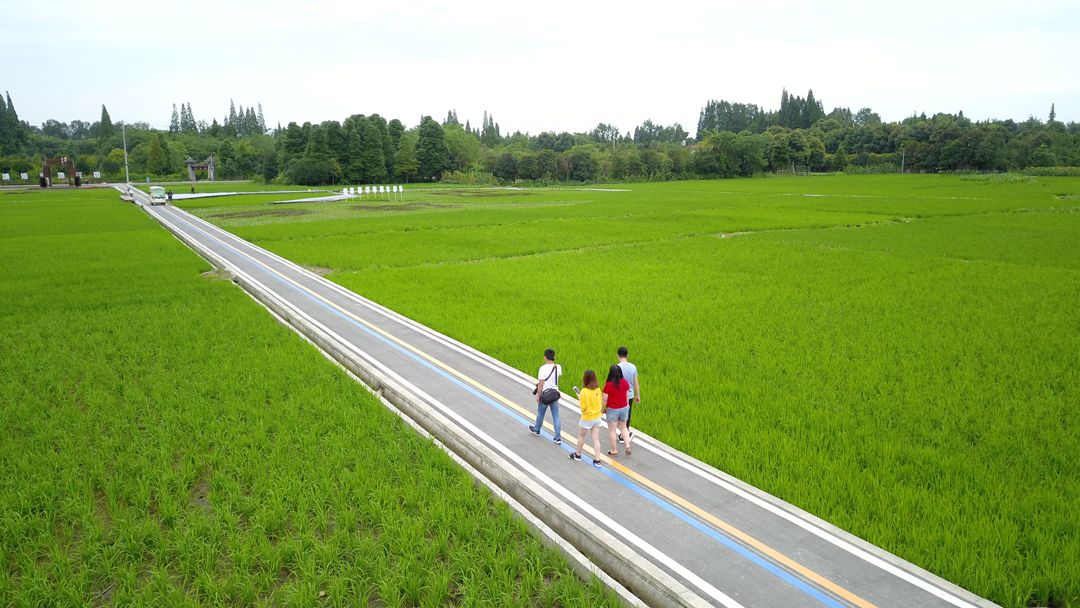 漫步于田园绿道,仿佛置身于大草原,心胸也变得开阔起来,烦恼瞬间抛到